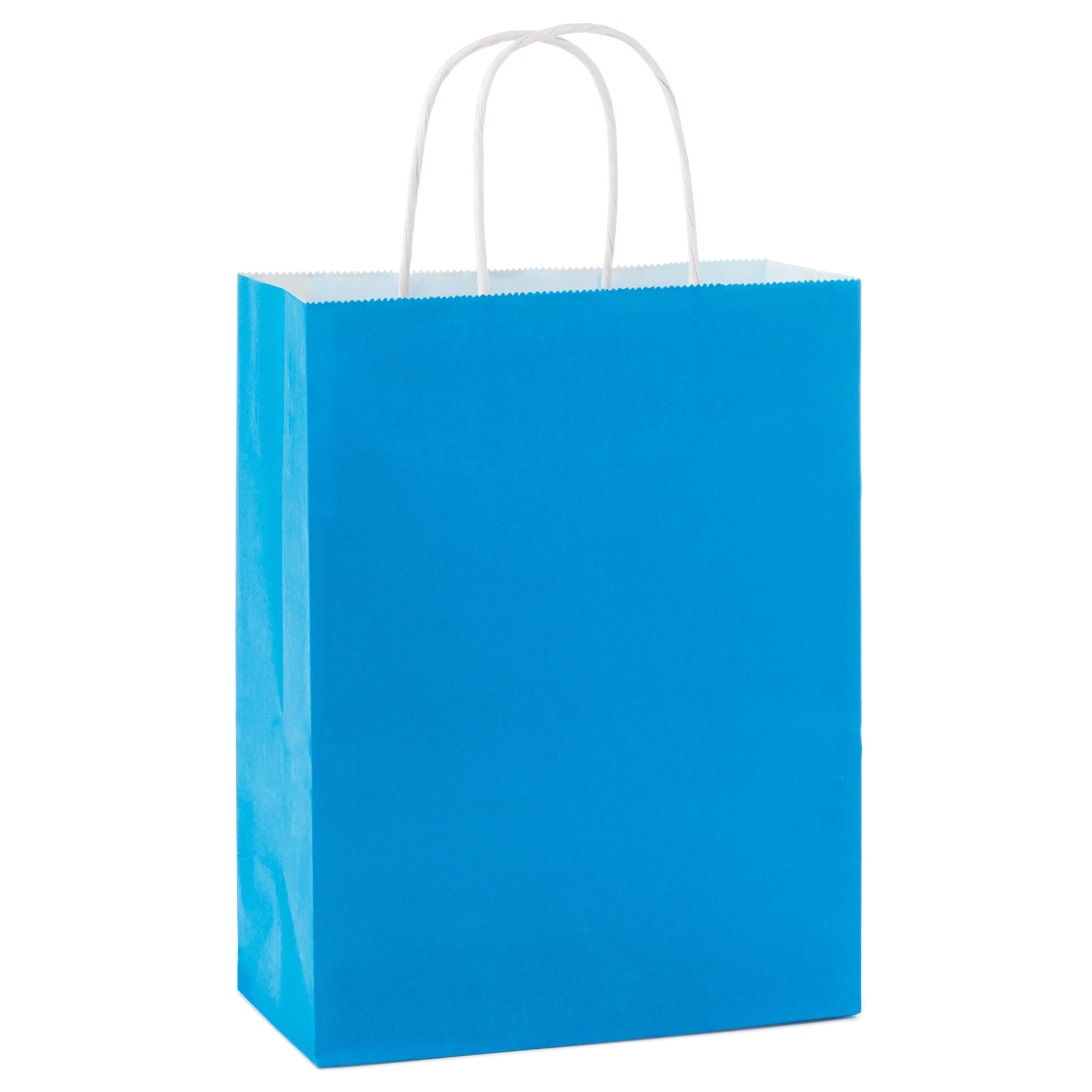 Hallmark Medium Gift Bag (Solid Blue)