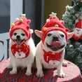 thumbnail image 4 of Disfraz navideño para perro pequeño, accesorio de fiesta, 4 of 5