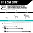 thumbnail image 4 of Collar para Perro Wolfgang Man & Beast Resistente Ajustable Mediano, 4 of 7