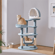 Image medium_image