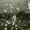Army Green, variant on Ruimatai Women's Tops Casual Loose V Neck T-Shirt Tie-Dye Print Blouse Trendy Comfortable Fashion Tee