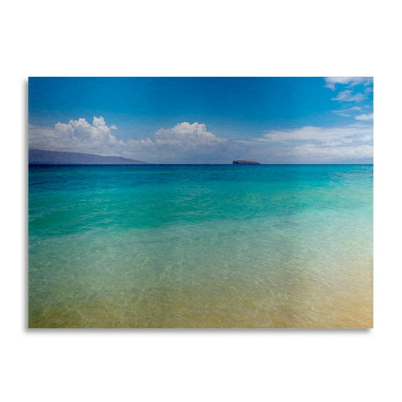 Trademark Fine Art 'Blue Beach Maui' Brushed Aluminum Wall Art Art by Pierre Leclerc