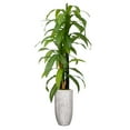thumbnail image 1 of Vintage Home Artificial 83" High Artificial Faux Corn Plant With Fiberstone Planter For Home Decor, 1 of 3