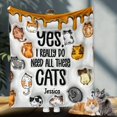 thumbnail image 1 of Yes I Really Do Need All These Cats - Personalized Cat Blanket, 1 of 6