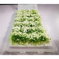 thumbnail image 3 of 28 Pcs White Flower Cluster Flower Vegetation Groups Grass Tufts Static Scenery Model DIY Miniature for Train Landscape Railroad Scenery Sand Military Layout Model War Gaming Terrain, 3 of 4