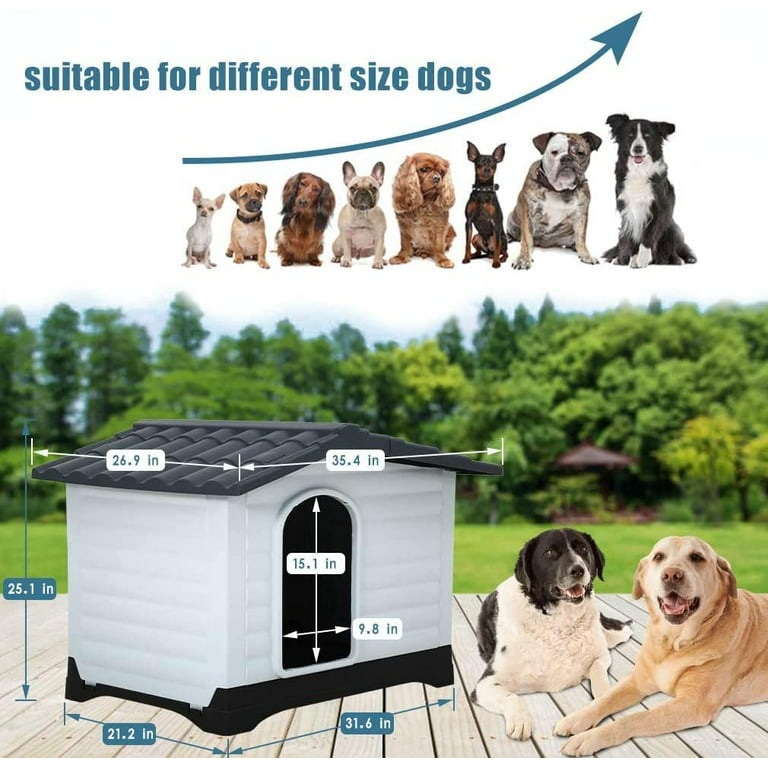 Pet House Online Pet shop with over 5,000 Exclusive Pet Products