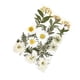 thumbnail image 5 of Calcomanía de flores secas Monstrate accesorios de bricolaje rellenos artesanales, 5 of 6
