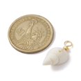 thumbnail image 2 of 100pcs Spiral Shell Pendants with Real 18K Gold Plated Copper Wire Loops Shell Charms White 22~25x8~10x7~9mm Hole: 3.8~4mm, 2 of 4