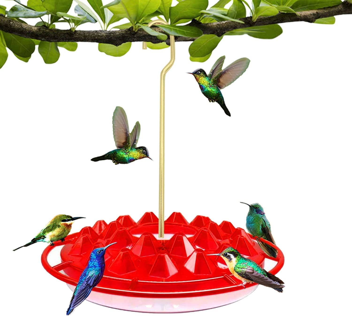SUNCHARM Hummingbird Feeders for 25 Feeding Ports,LeakProof Hummingbird Feeder Easy to Clean