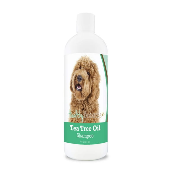 Natural Tea Tree Shampoo for Labradoodles - 8 oz Bottle