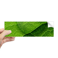 thumbnail image 1 of Autocollant Pare-Chocs Rectangulaire Motif Condensation Verte Fraîche pour Carnet Fenêtre, 1 of 1