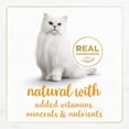 thumbnail image 5 of Purina Fancy Feast Gourmet Naturals Pate Kitten Food, Wet Cat Food, Turkey, 3 oz Cans, 12 Pack, 5 of 10