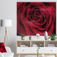 thumbnail image 3 of Design Art - Red Rose Petals with Rain Droplets, 3 of 5