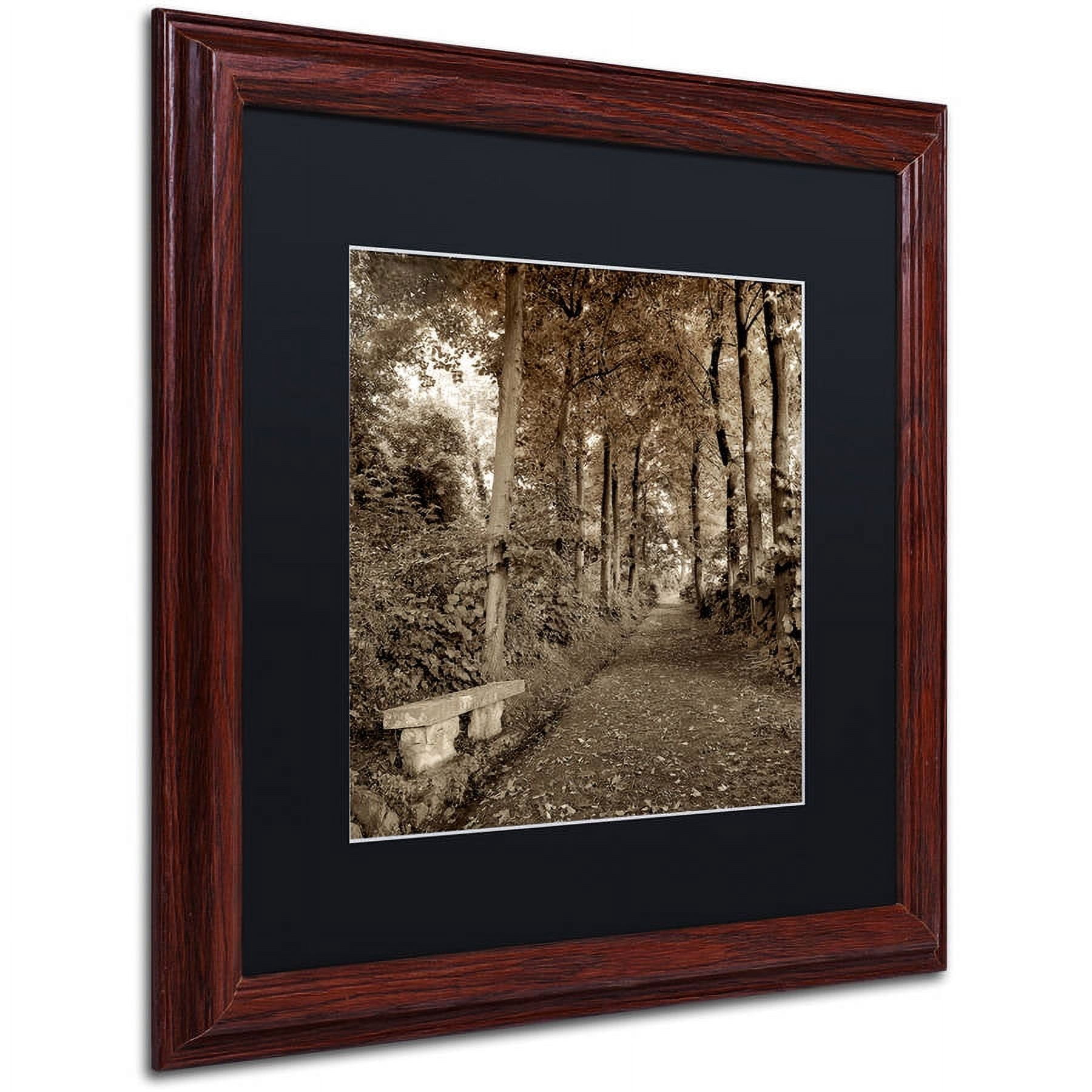 Trademark Fine Art "Fiesole Giardini II" Canvas Art by Alan Blaustein, Black Matte, Wood Frame