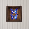 thumbnail image 2 of Retro Wooden Specimen Storage Case Dried Flower Display Case Home Shadow Wooden Case, 2 of 8