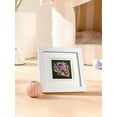 thumbnail image 4 of Luminous Animal World 10 SET - Diamond Painting, 4 of 9