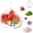 thumbnail image 4 of Creations by Nathalie - DIY Terrarium Kit with Live Air Plant (Local & Fresh from Florida), Glass Globe, Reindeer Moss, Figurine, Healing Crystal Chips and Sand - Handmade in USA, 4 of 9
