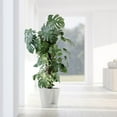 thumbnail image 4 of Ecopots Venice 2 Durable Modern Round Indoor/Outdoor Recycled Based Composite Flower Pot Planter w/ Water Reservoir, White Grey, 16", 4 of 4