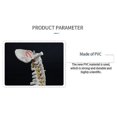 thumbnail image 5 of 45cm Human Spine With Pelvic Human Anatomical Anatomy Spine Spinal Column +stand Fexible, 5 of 5