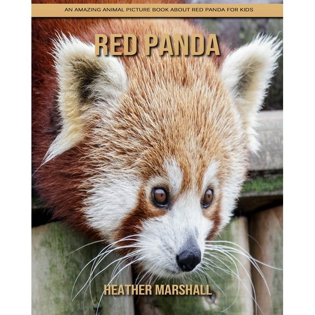 Red Panda An Amazing Animal Picture Book About Red Panda For Kids Paperback Walmart Com Walmart Com