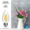 thumbnail image 3 of BEIMAX F15 6W LED Porch Light Bulbs for Outdoor, Equivalent 60W Incandescent Bulbs, Dimmable 2700K Soft White Flame with E26 Medium Base Wrinkle Glass, Post Bulbs for Ceiling Fan Outdoor Decoration, 3 of 9