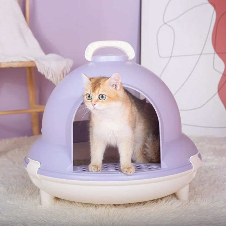 Cute kitty litter box hotsell
