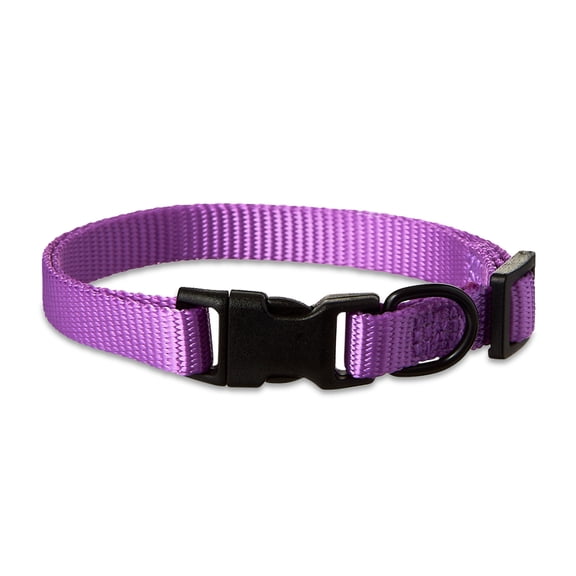 Vibrant Life Polyester Adjustable Dog Collar, Purple, S