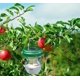 thumbnail image 5 of Energía Solar avispa mosca moscas insectos trampa colgante atrapamoscas al aire libre Catcherorange Rojo Verde Cocina, Decoración y Otros, 5 of 5