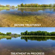 Airmax EasyKlear Defense 2 in 1 Granular Pond Algae Control, Effective & Fast Acting Algaecide, Aquatic Weed Treatment for Clear Water in Ponds & Fountains, Use as Directed, 15 lbs