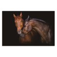 thumbnail image 1 of Amazing Rugs TH6141 32 x 48 in. Oppidan Home Horses Caressing Acrylic Wall Art, 1 of 1