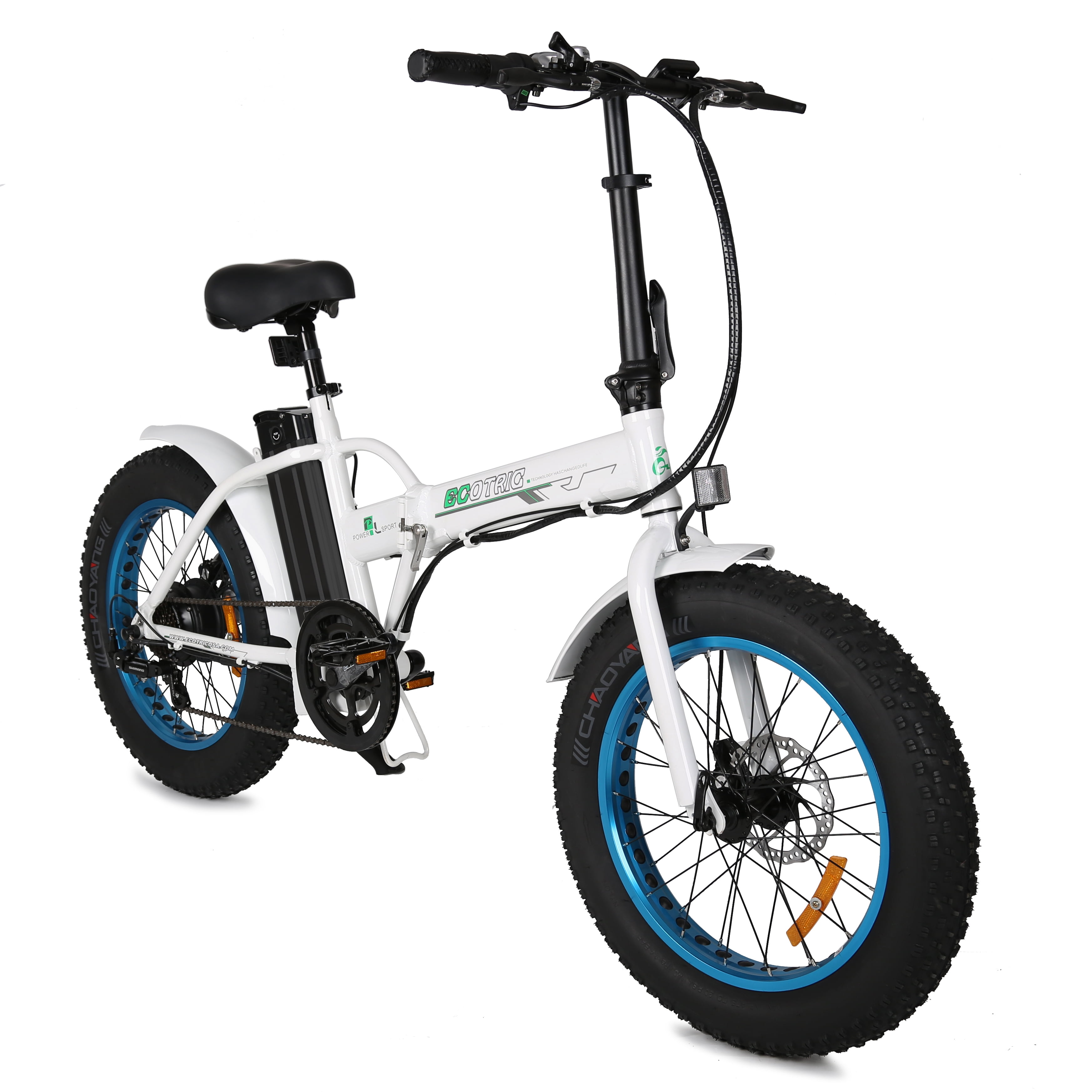 ecotric battery