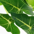 thumbnail image 4 of OULII 5Ud Planta Decorativa Para Acuario Artificial Resistente Y Visual Natural, 4 of 5