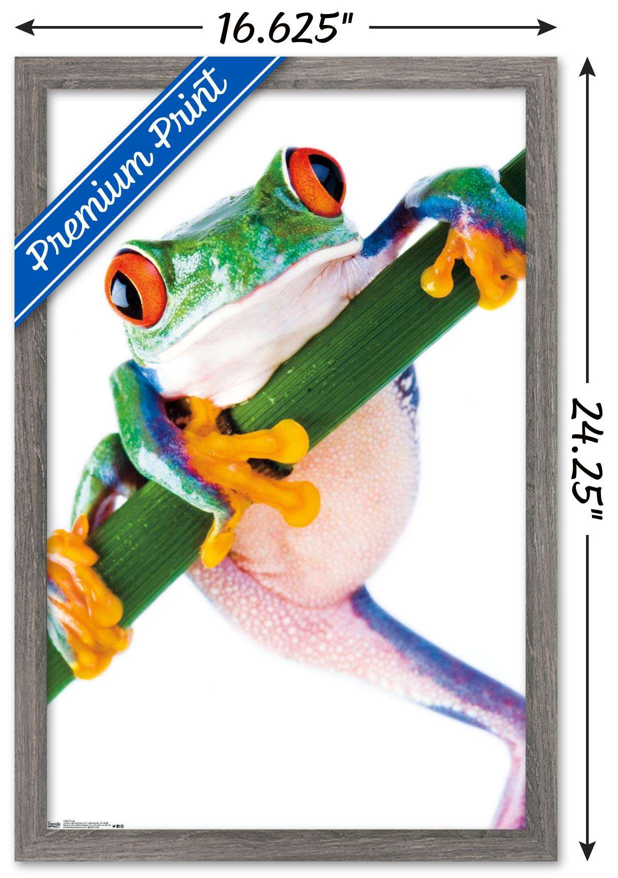 Tree Frog Wall Poster, 14.725" x 22.375", Framed