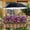 A, variant on Plant Umbrellas for Outdoor Plants, Adjustable Shade Umbrella, Garden Shade Cover, Larger Size Rain Sun Umbrella for Potted Garden Bed Flower Pot 45"X20"