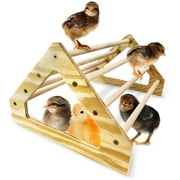 Backyard Barnyard Chicken Roosting Bar Chick Bird Perch Made in the USA for Chickens Chicks Parrots Birds Pollos Chooks Percha Para Pollos Pajaros