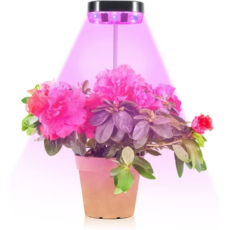 

DancePeanut LED Grow Light for Indoor Plants Full Spectrum Plant Grow Light Height Adjustable Growing Lamp with Auto On/Off Timer 3/6/12H for Seedling Succulents