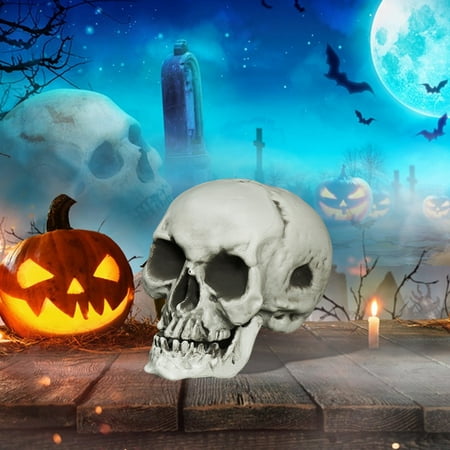 

NUZYZ Halloween Skull Realistic Life Size Spooky Holiday Haunted House Decoration Terror Prop Skull Model Figurine Statue Sculpture Party Supplies