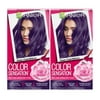 Garnier Color Sensation Rich Long-Lasting Color Cream, Grape Expectations, 2 Pack