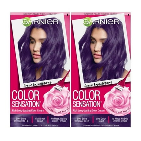 Garnier Color Sensation Rich Long-Lasting Color Cream, Grape Expectations, 2 (Best Long Lasting Hair Color For Gray Hair)