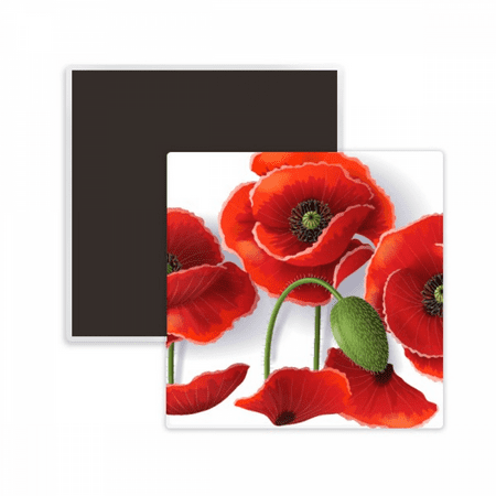 

Red Flowers Painting Corn Petals Fruit Square Ceracs Fridge Magnet Keepsake Memento