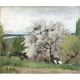 thumbnail image 2 of Carl Fredrik Hill 14x12 Black Ornate Wood Framed Double Matted Museum Art Print Titled: Fruit Tree in Blossom, Bois-Le-Roi (1877), 2 of 5