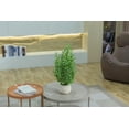 thumbnail image 2 of 2-pack 28" Faux Olive Trees in Beige Ceramic planters, 2 of 5