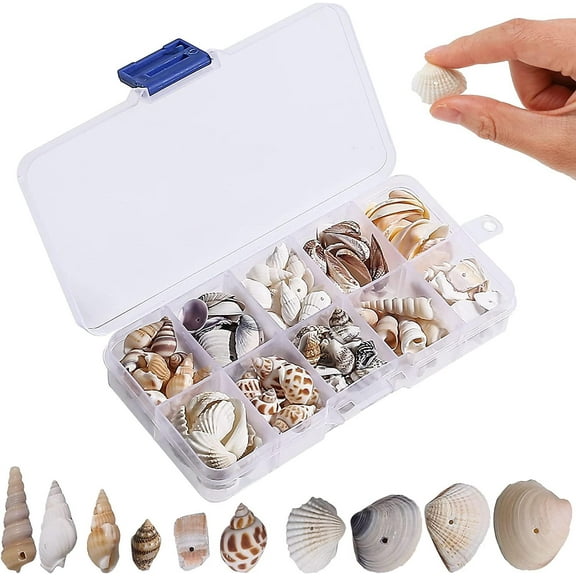 150PCS Shells Decoration with Holes, Natural Shells Perfect for Crafts, Decoration or Jewellery Making
