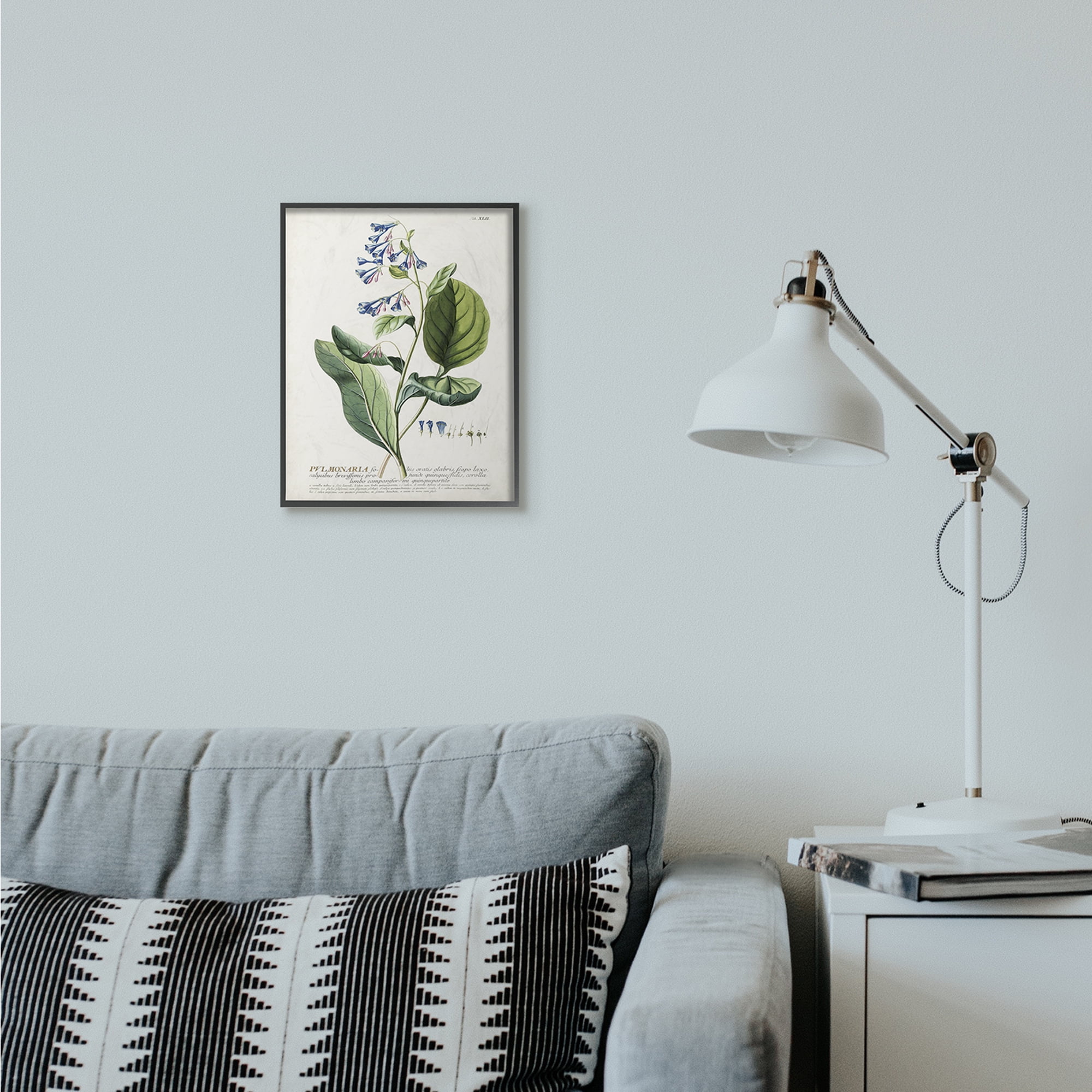 Stupell Industries Botanical Plant Illustration Blue Flowers Vintage Design Framed Wall Art by Unknown