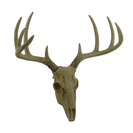 - Little Bucky Wall Mounted Faux Aged Finish Deer Skull and Antlers 15 Inch