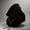 Black, variant on Hooded memory foam travel neck pillow blocks light, 360° surrounding neck support with slow rebound sponge, hidden zipper for easy cleaning, great for travel naps and office rest.
