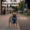 thumbnail image 4 of Voyager Step-In Air Mesh Dog Harness by Best Pet Supplies, 4 of 8