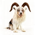 thumbnail image 2 of Disfraz de perro Onmygogo, peluca de cabra, Halloween, Navidad, L, 2 of 7
