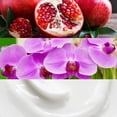 thumbnail image 2 of Euphoria Body Lotion de Calvin Klein Calvin Klein Model, 2 of 2