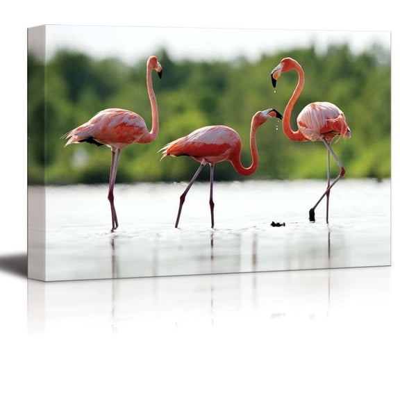 Canvas Prints Wall Art - The Pink Caribbean Flamingo on Water , Modern Home Deoration/Wall Decor Giclee Printing Wrapped Canvas Art Ready to Hang - 12" x 18"